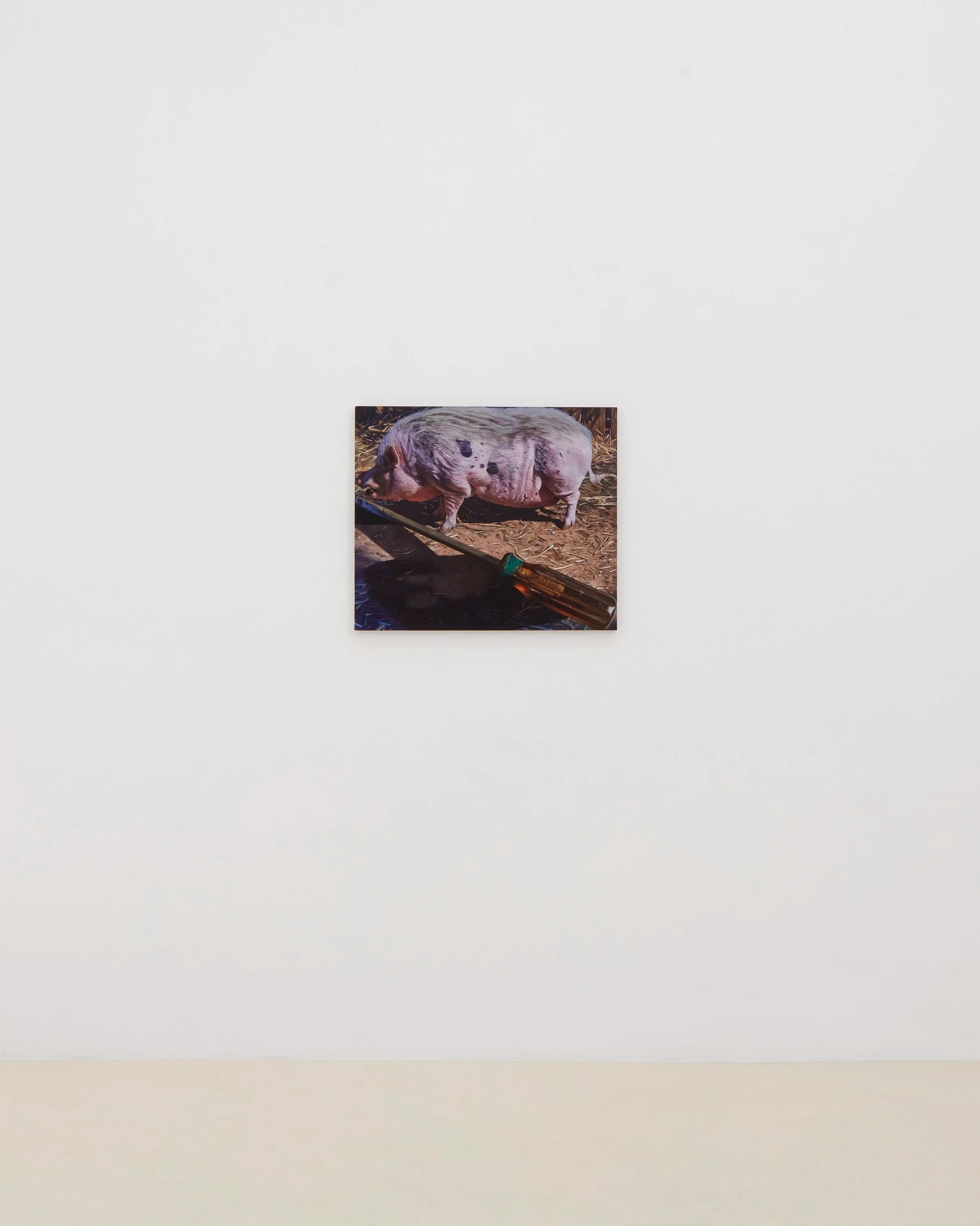Adam Higgins: Lollipop