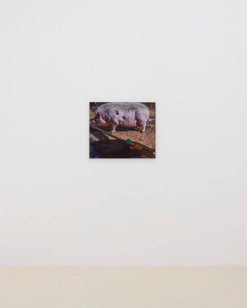 Installation view, Adam Higgins: Lollipop, Chris Sharp, Los Angeles, 2026