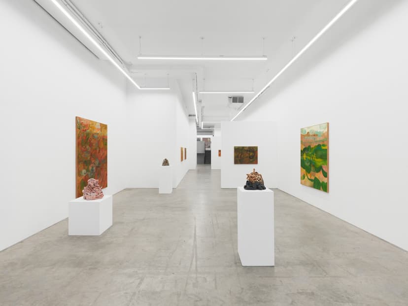 Installation view, Soumya Netrabile: Field Conditions, Anat Ebgi, New York, 2026