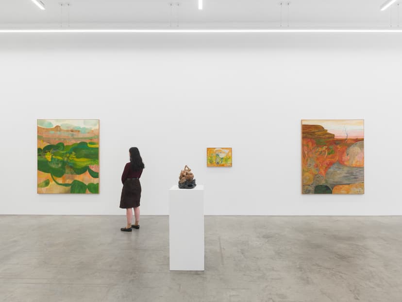Installation view, Soumya Netrabile: Field Conditions, Anat Ebgi, New York, 2026