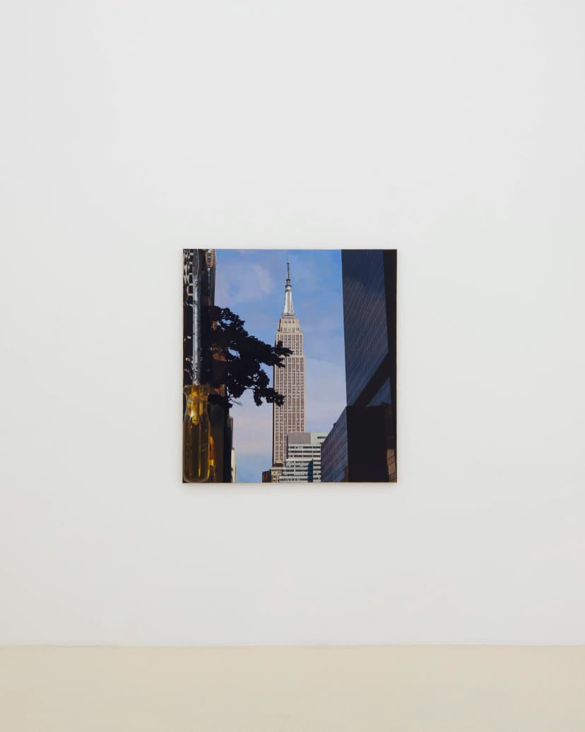 Installation view, Adam Higgins: Lollipop, Chris Sharp Gallery, 2026