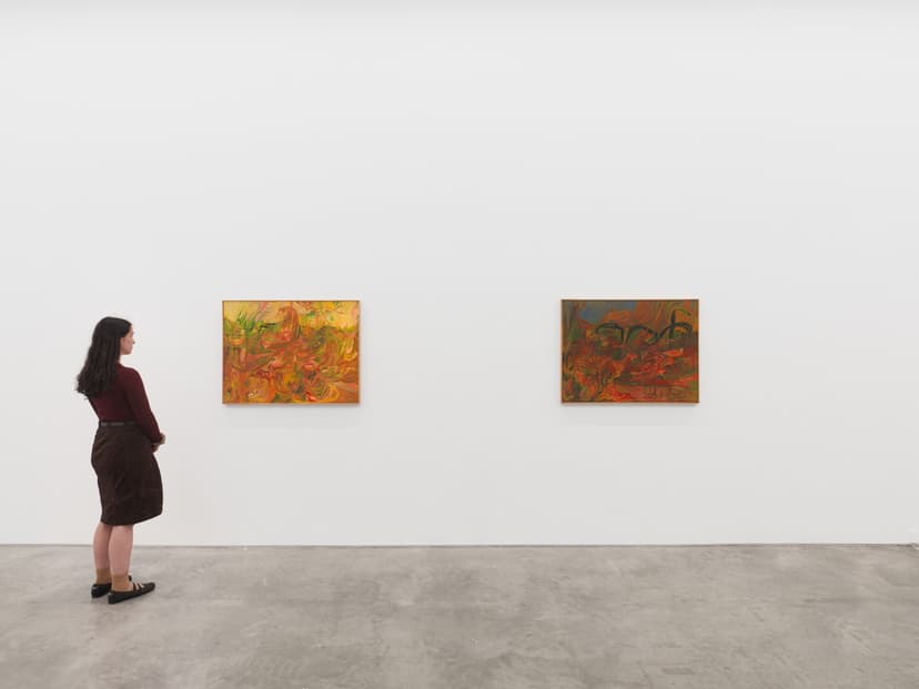 Installation view, Soumya Netrabile: Field Conditions, Anat Ebgi, New York, 2026
