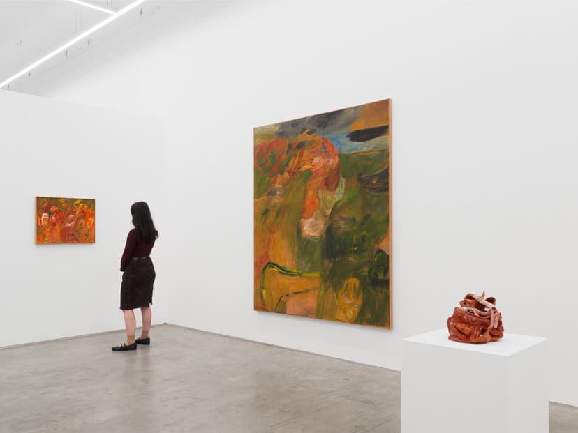 Installation view, Soumya Netrabile: Field Conditions, Anat Ebgi, New York, 2026
