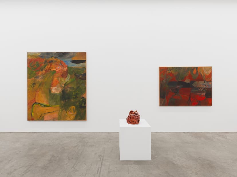 Installation view, Soumya Netrabile: Field Conditions, Anat Ebgi, New York, 2026