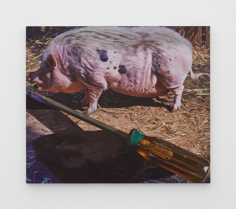 Adam Higgins, Pig with Screwdriver, 2026. Oil on canvas, 23 x 27 in (58.4 x 68.5 cm)