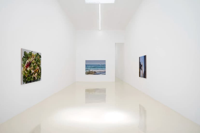 Installation view, Adam Higgins: Lollipop, Chris Sharp Gallery, 2026