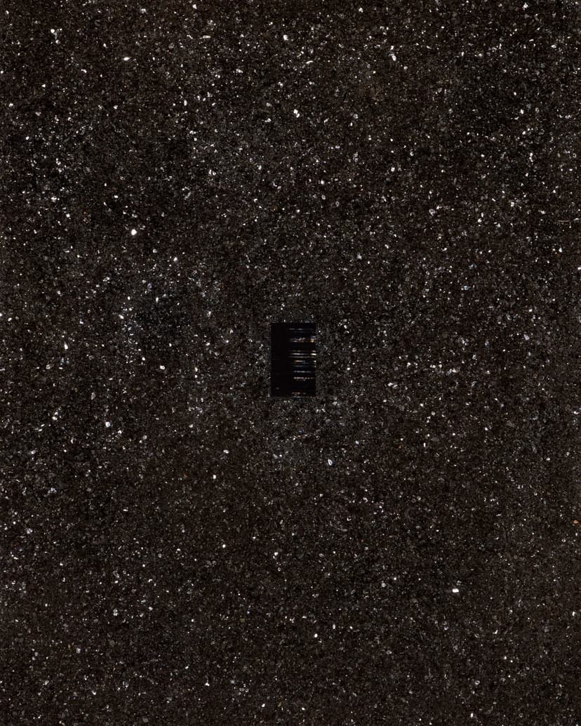 William T Carson, Nocturnal, 2026