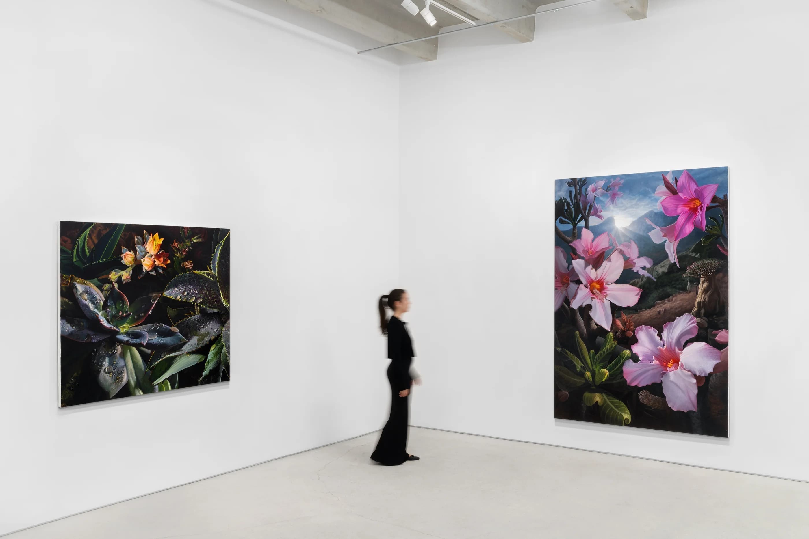 Installation view