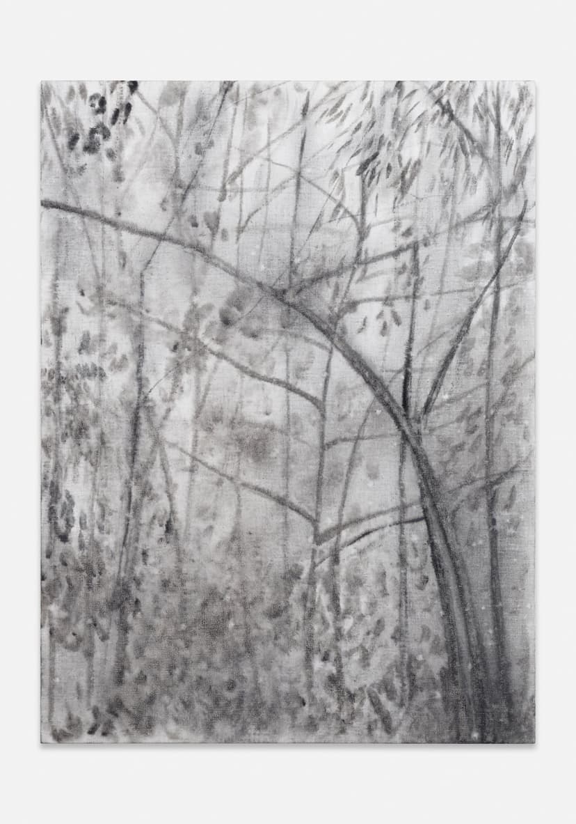 Silke Otto-Knapp, Wintertrees (light), 2012, Watercolor on linen, 23 1/2 x 17 3/4 x 3/4 inches (59.7 x 45.1 x 1.9 cm)