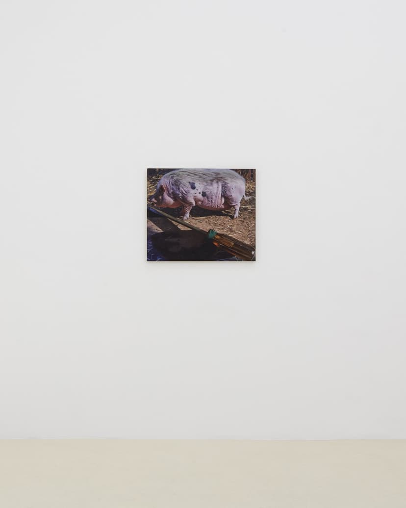Installation view, Adam Higgins: Lollipop, Chris Sharp Gallery, 2026