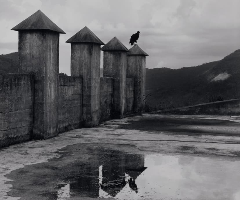 La espera / The Waiting Time, 1980, Flor Garduño. Gelatin silver print. Getty Museum. Gift of Daniel Greenberg and Susan Steinhauser. © Flor Garduño