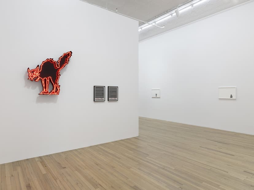 Installation view, Andrea Bowers: Democracy Needs Our Courage, Andrew Kreps Gallery, New York, 2026. Photo: Elisabeth Bernstein