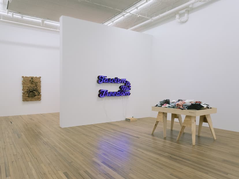 Installation view, Andrea Bowers: Democracy Needs Our Courage, Andrew Kreps Gallery, New York, 2026. Photo: Elisabeth Bernstein