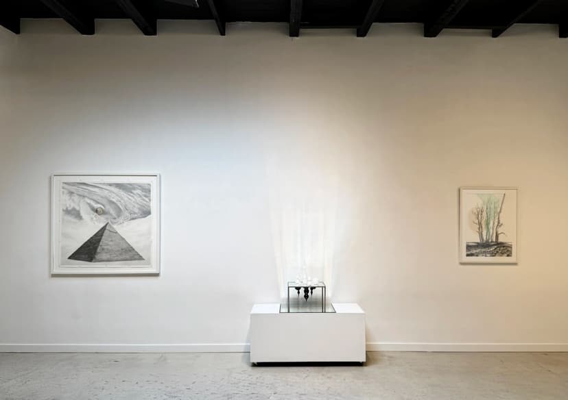 Installation view, Mirrored Dreams, TINT Gallery, San Francisco, 2026