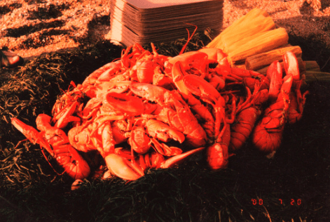 Cottage Industry