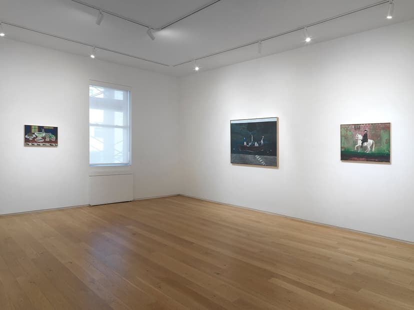Installation view, Danny Fox: Fata Morgana, Alexander Berggruen, New York, 2026