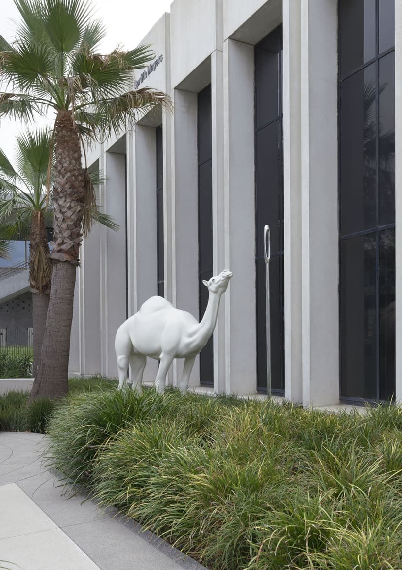 John Baldessari, Camel (Albino) Contemplating Needle (Large), 2013