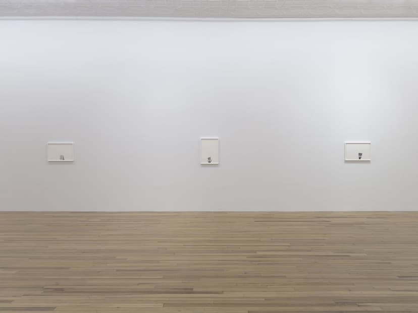 Installation view, Andrea Bowers: Democracy Needs Our Courage, Andrew Kreps Gallery, New York, 2026. Photo: Elisabeth Bernstein