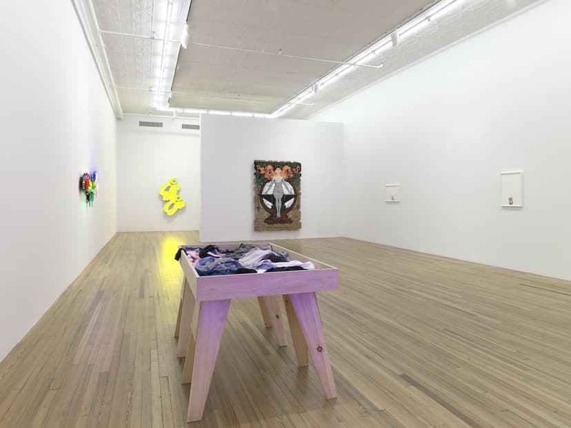 Installation view, Andrea Bowers: Democracy Needs Our Courage, Andrew Kreps Gallery, New York, 2026. Photo: Elisabeth Bernstein