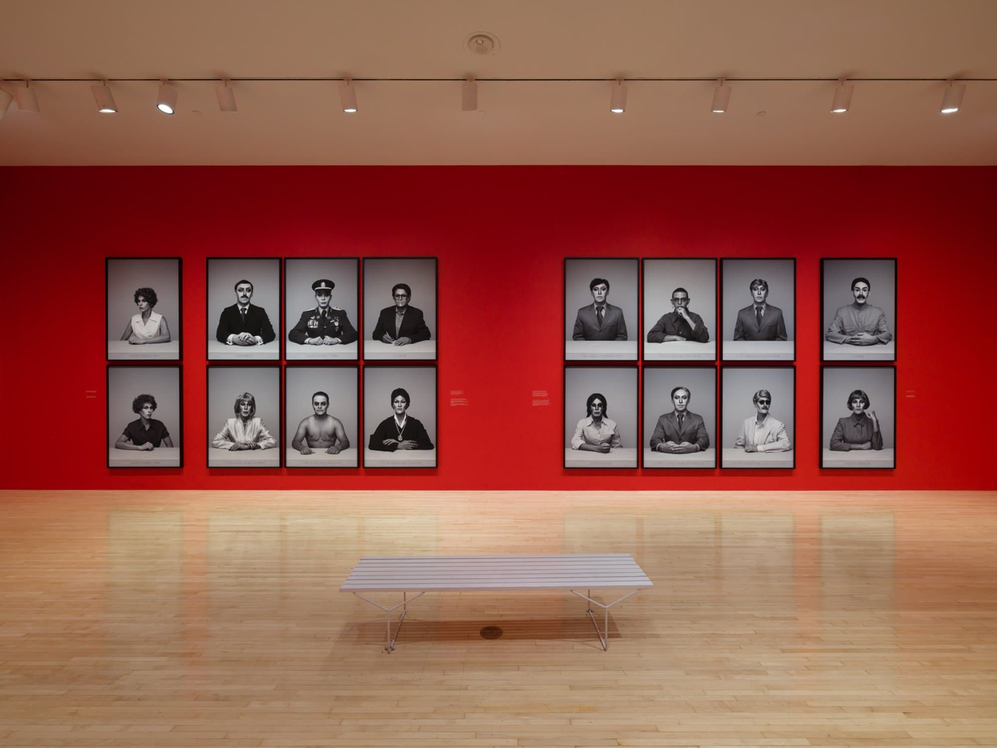 Curator-led Walkthrough of Alexander Apóstol, Regime: Dramatis Personae