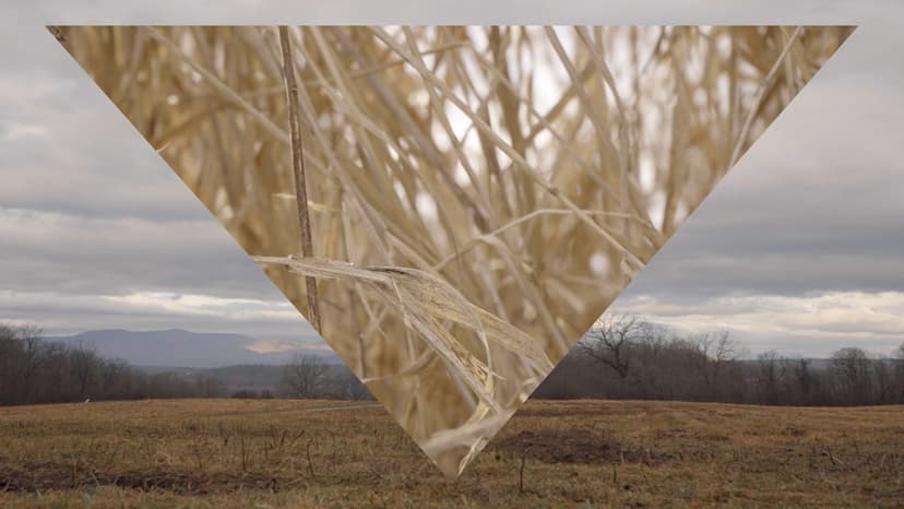 Jeffrey Gibson, THIS BURNING WORLD, 2026, image still