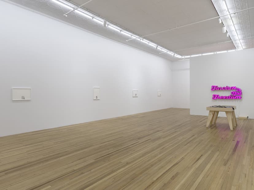 Installation view, Andrea Bowers: Democracy Needs Our Courage, Andrew Kreps Gallery, New York, 2026. Photo: Elisabeth Bernstein