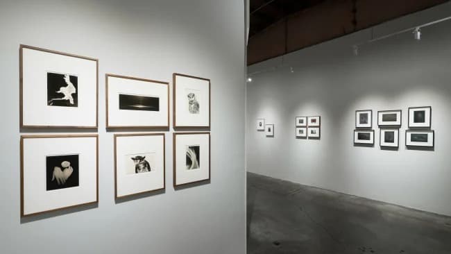 Installation view