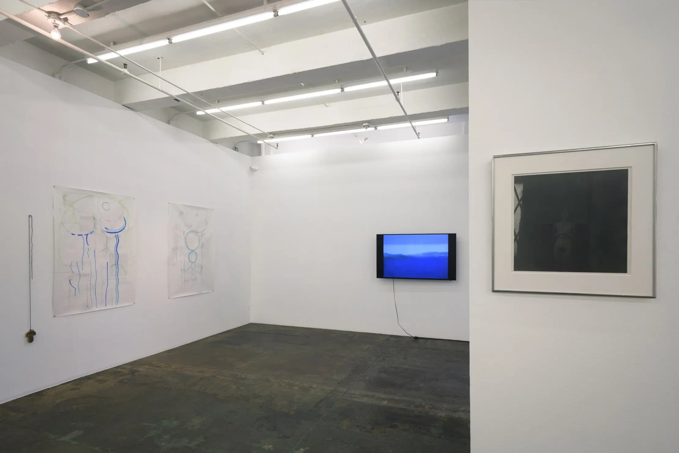 Installation view