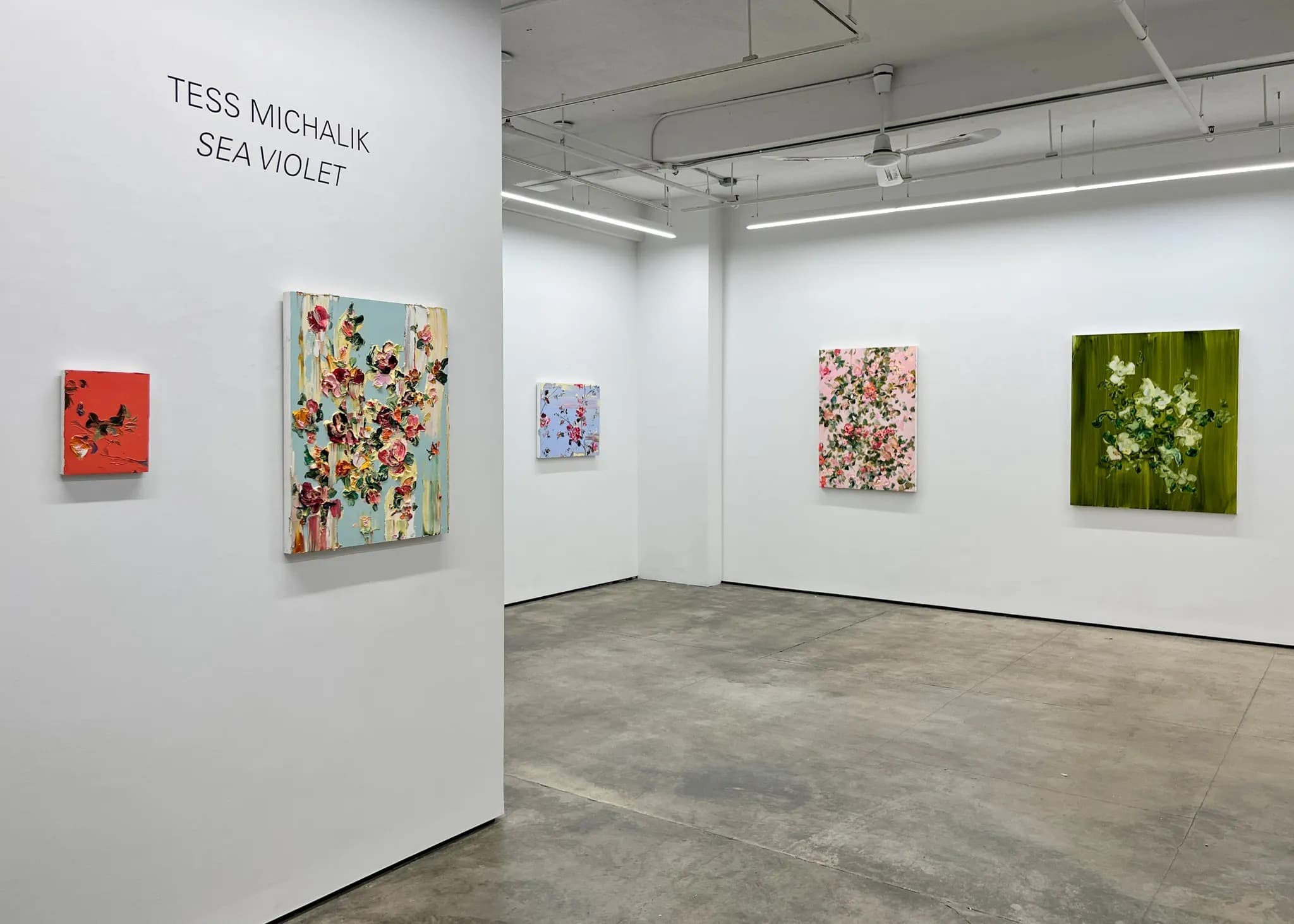 Installation view