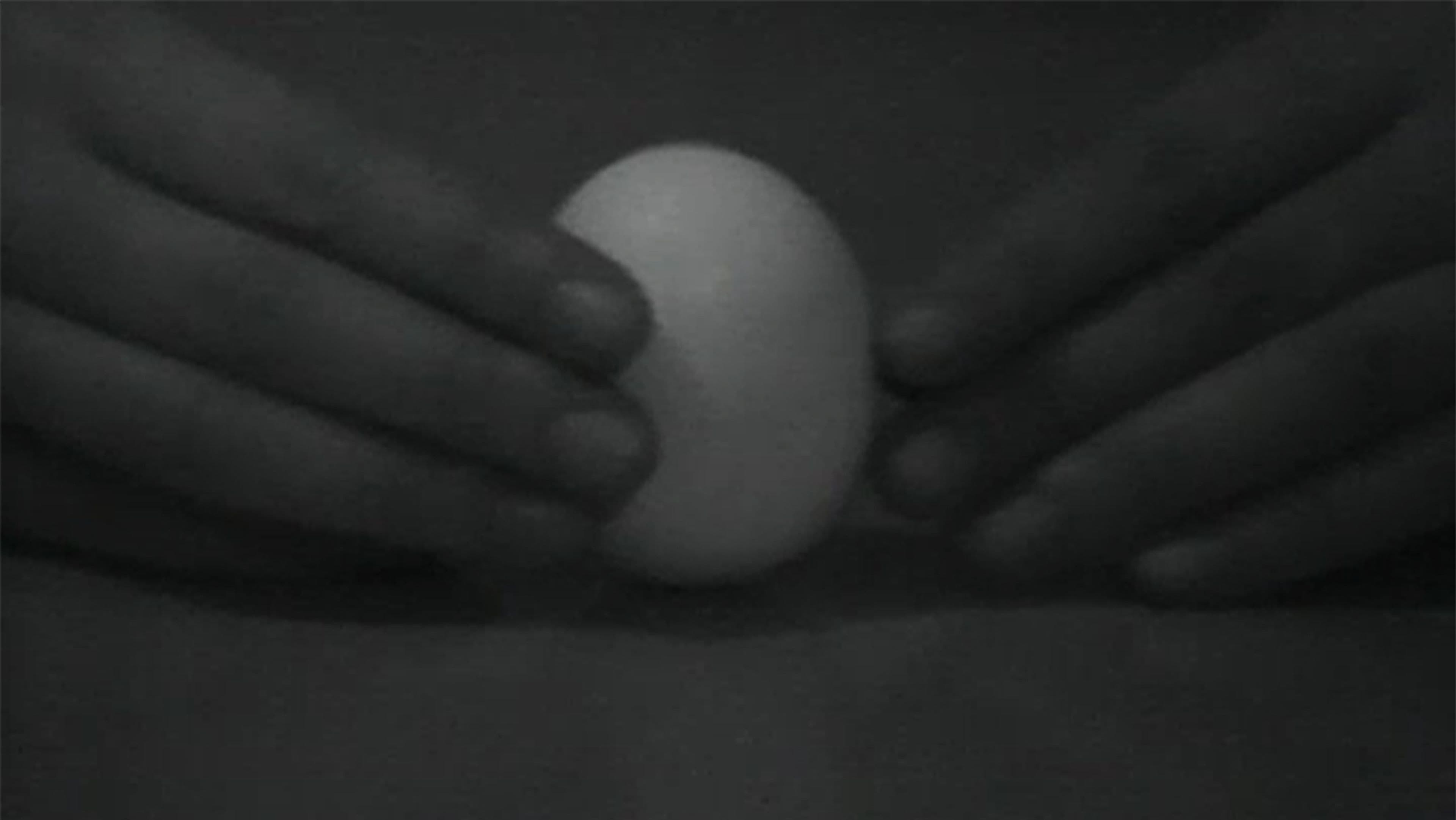 Statics of an Egg