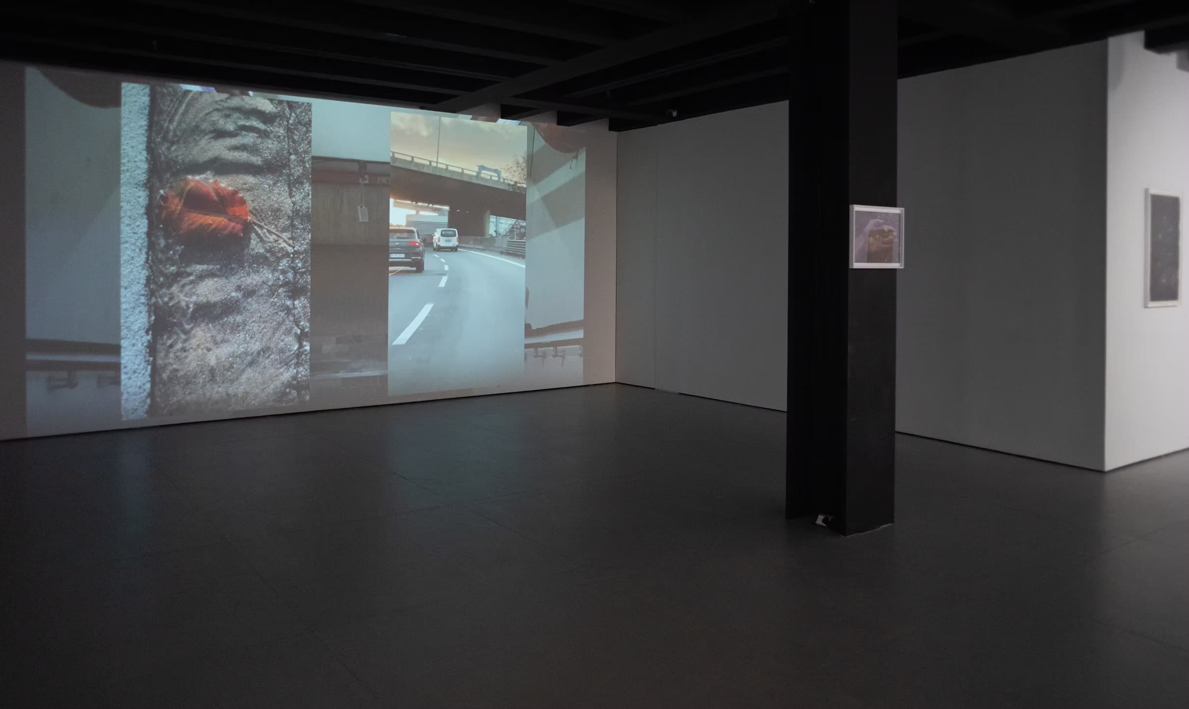 Installation view