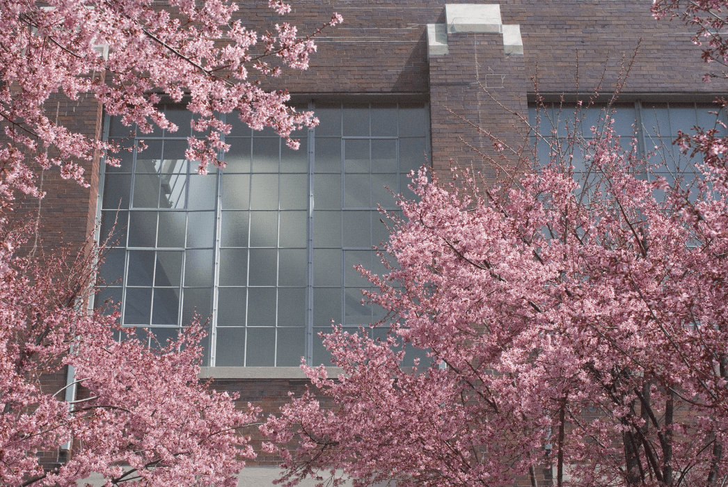 Jason Hirata on Louise Lawler