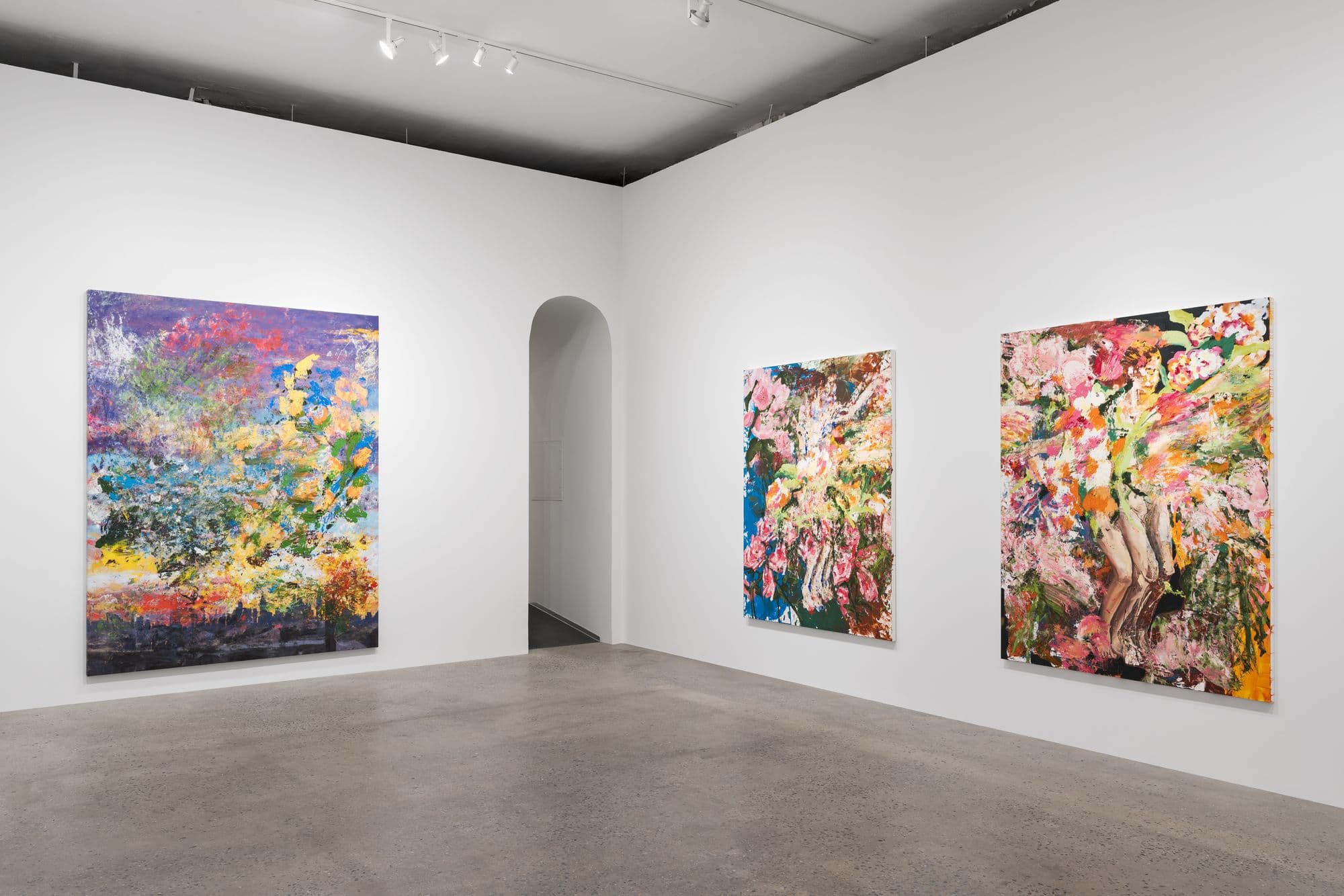 Installation view