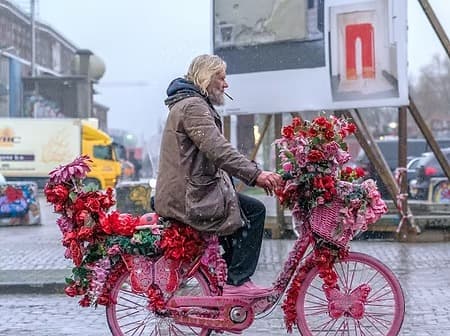 Nils Westergard: The Amsterdam Cyclist