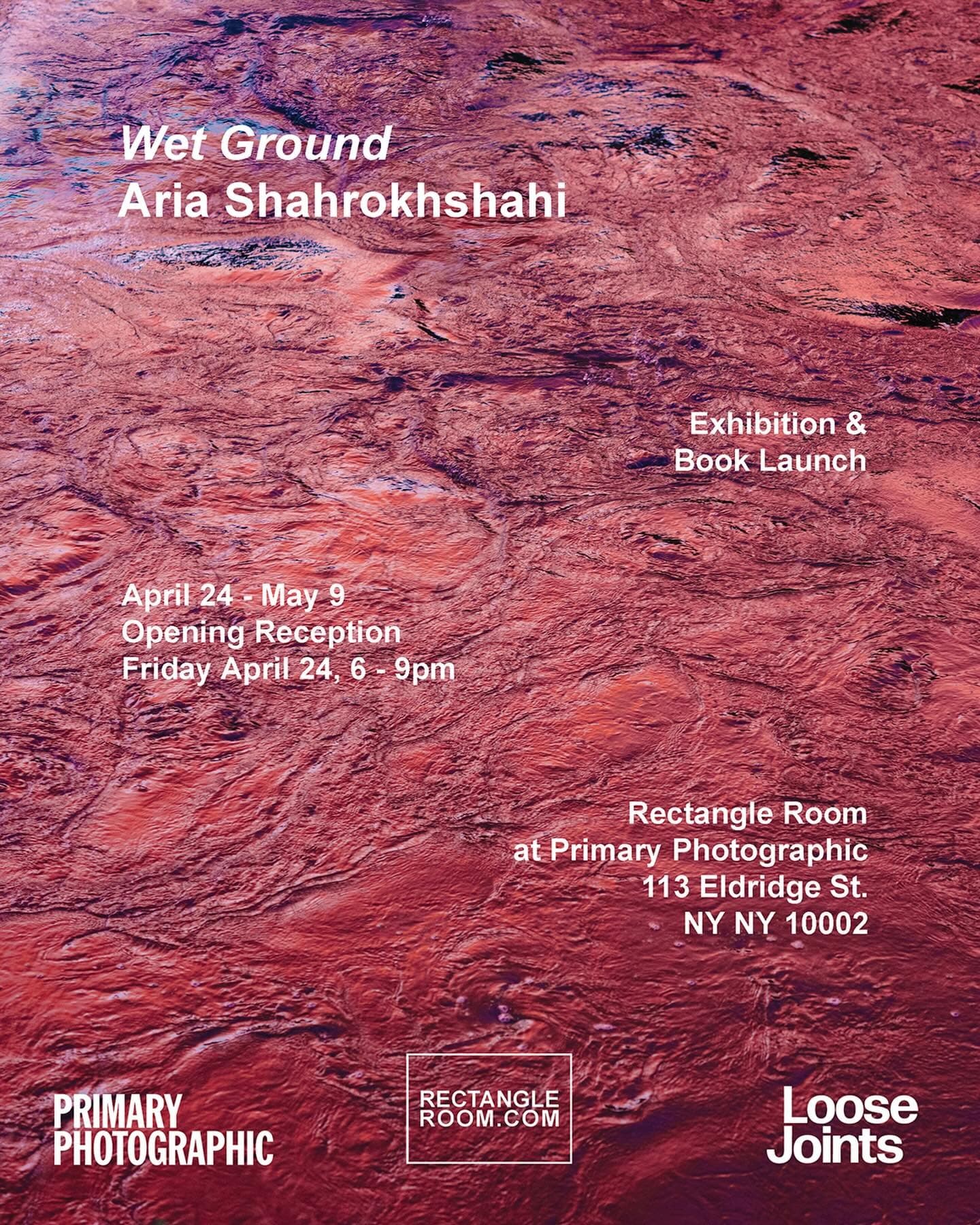 Aria Shahrokhshahi: Wet Ground