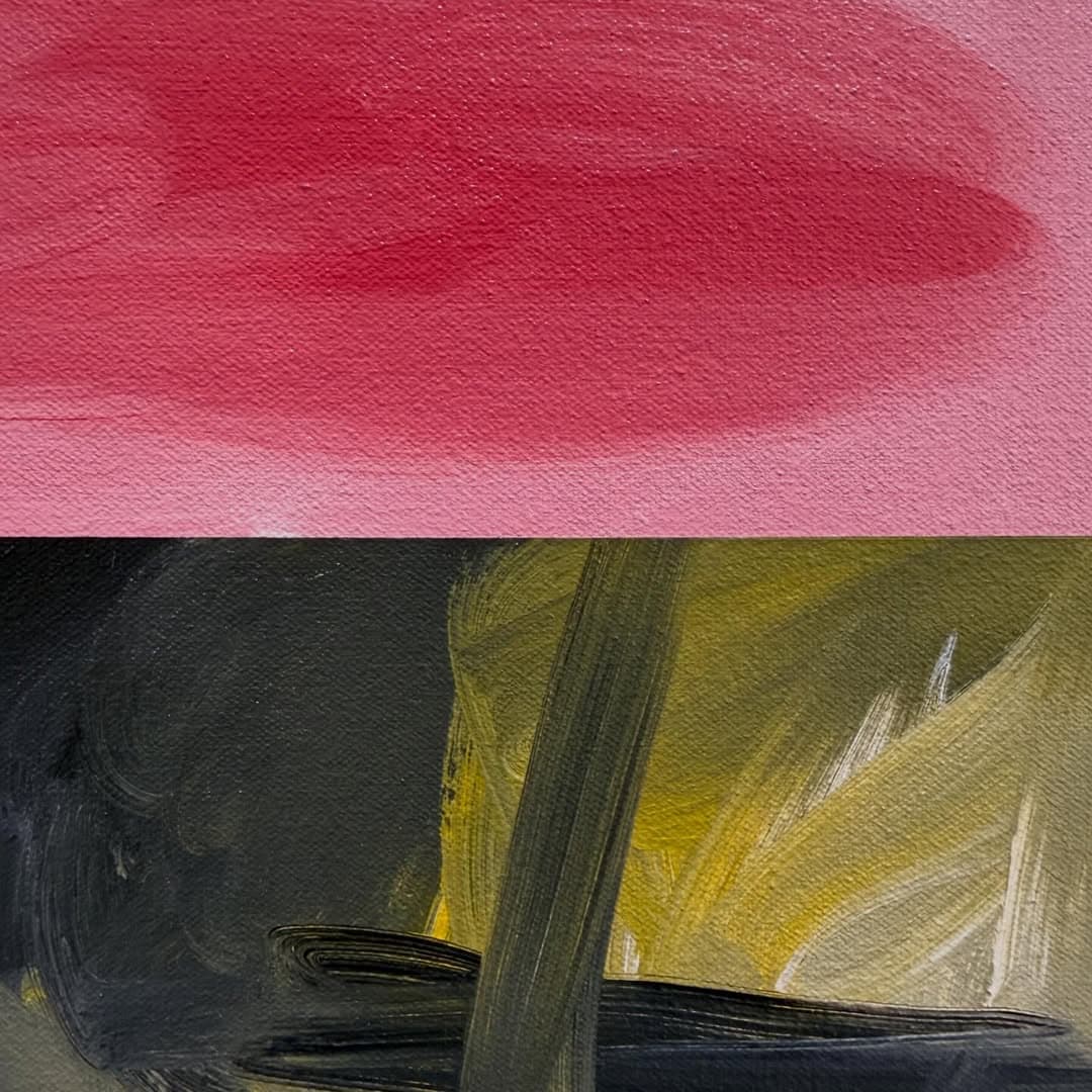 Luke Gray: Omnivision