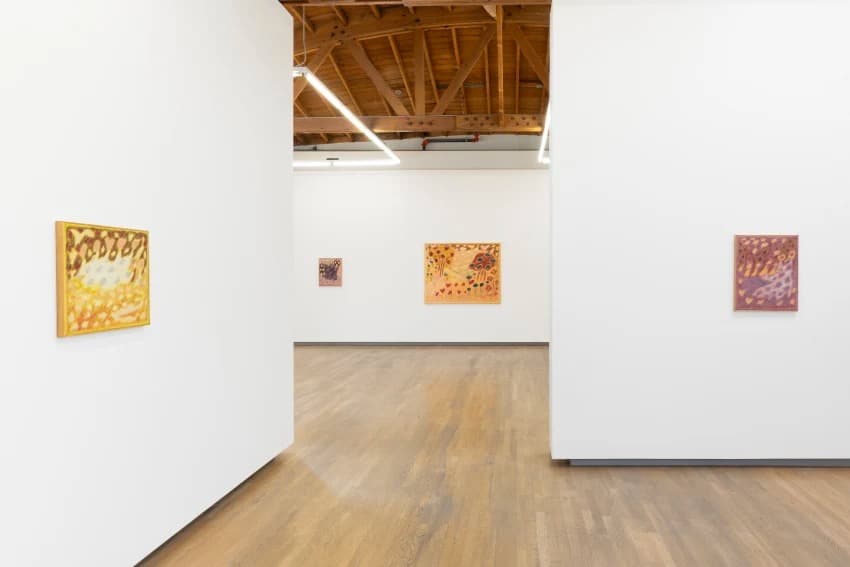 Installation view
