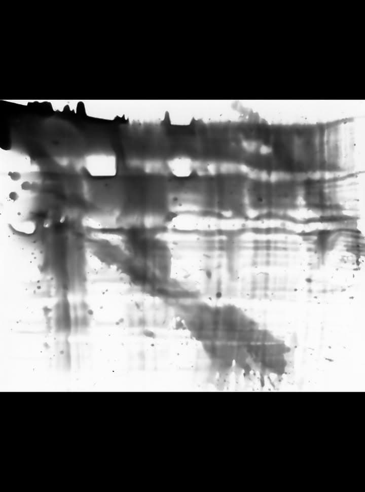 Joseph O'Neill: Alternative Photography