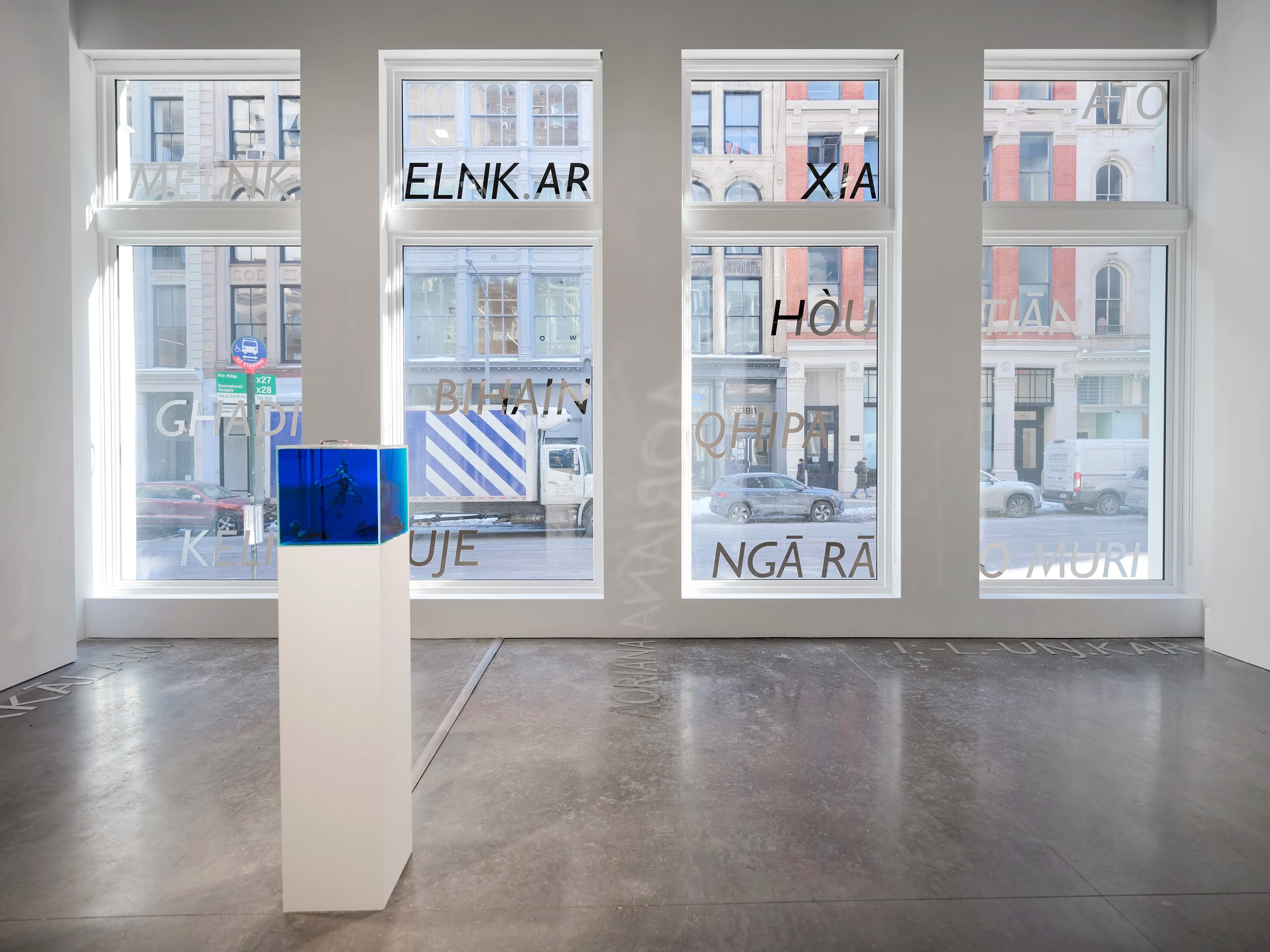 Installation view