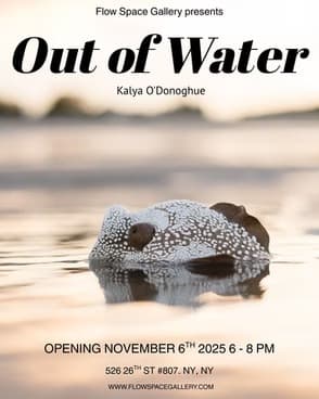 Kalya O'Donoghue: Out Of Water