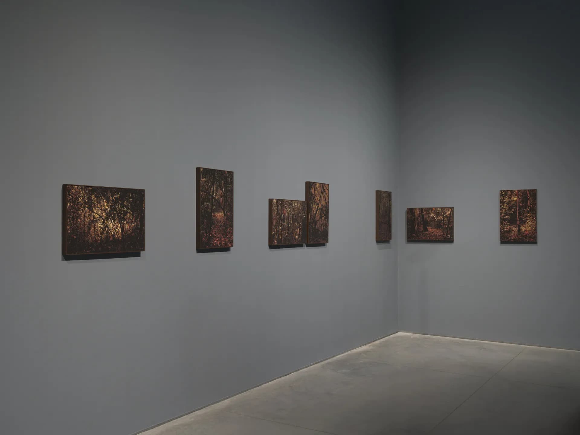 Installation view