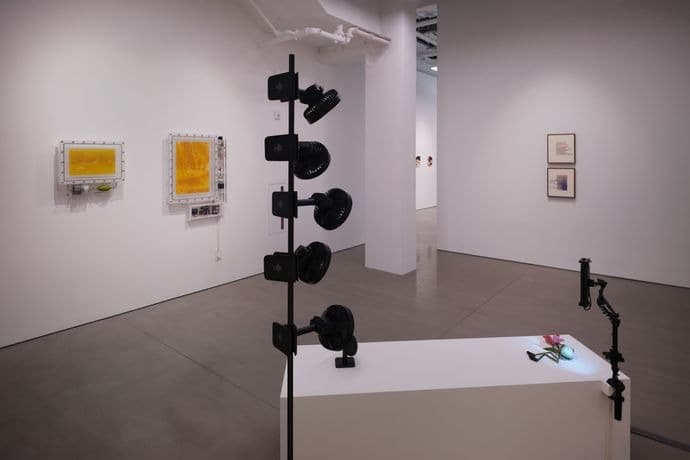 Installation view