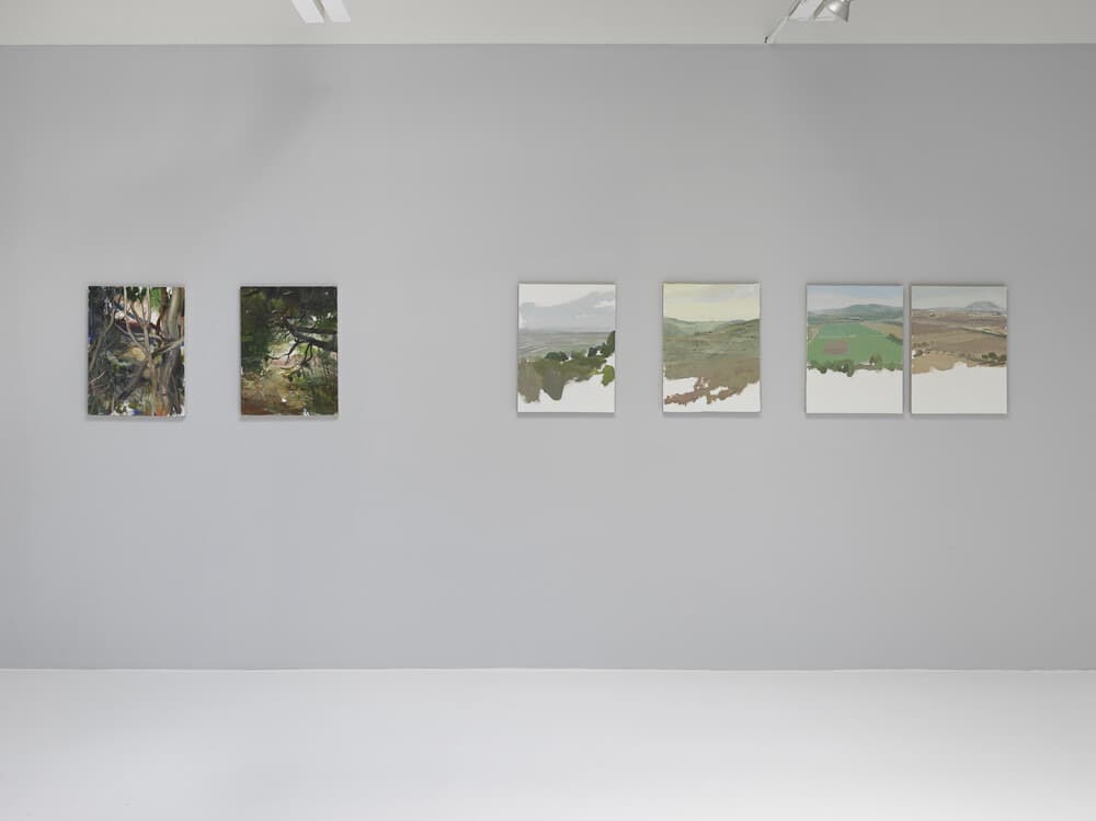 Installation view