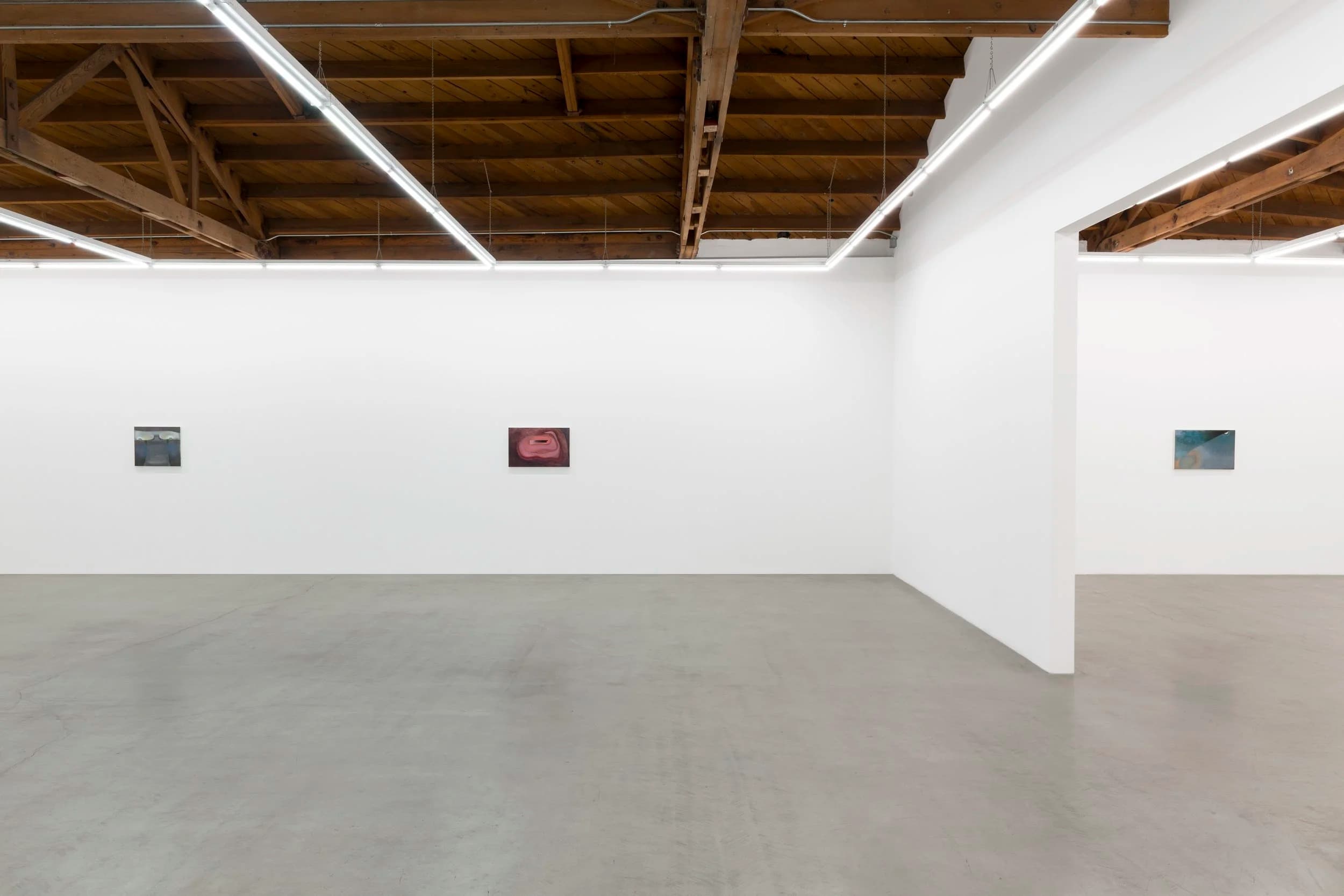 Kristy Luck: Ground for Assumptions