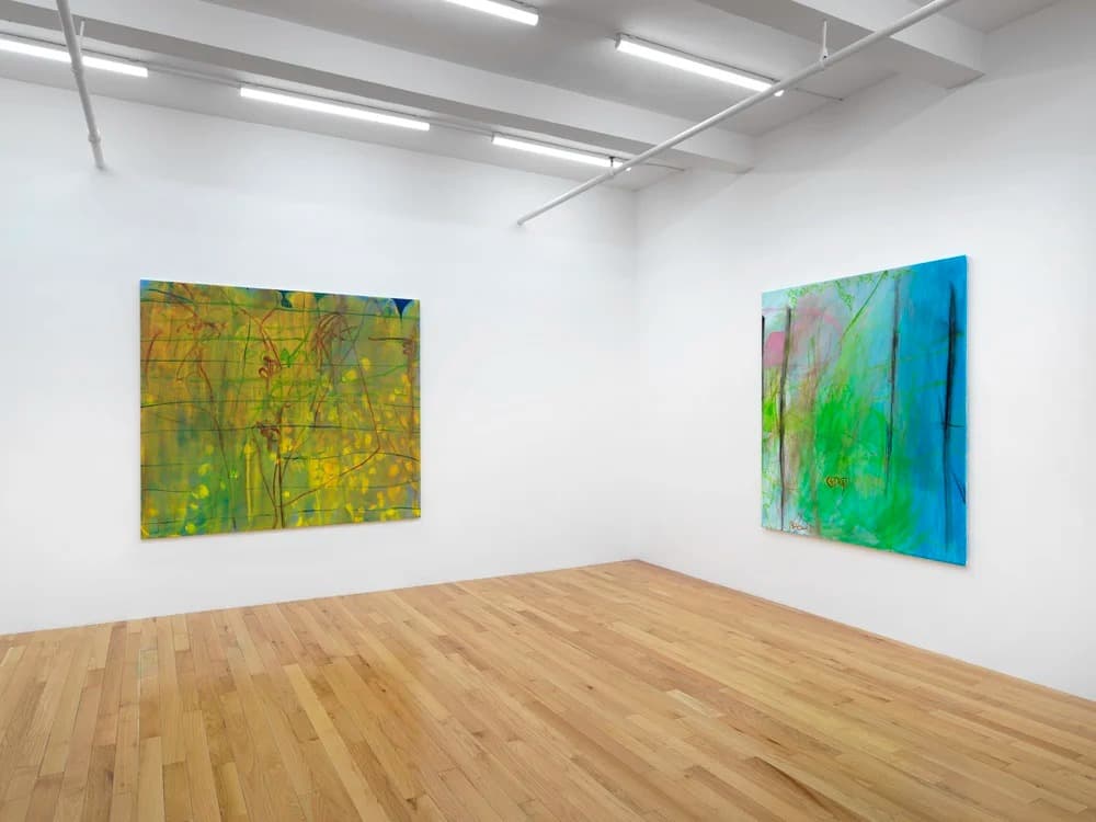 Installation view