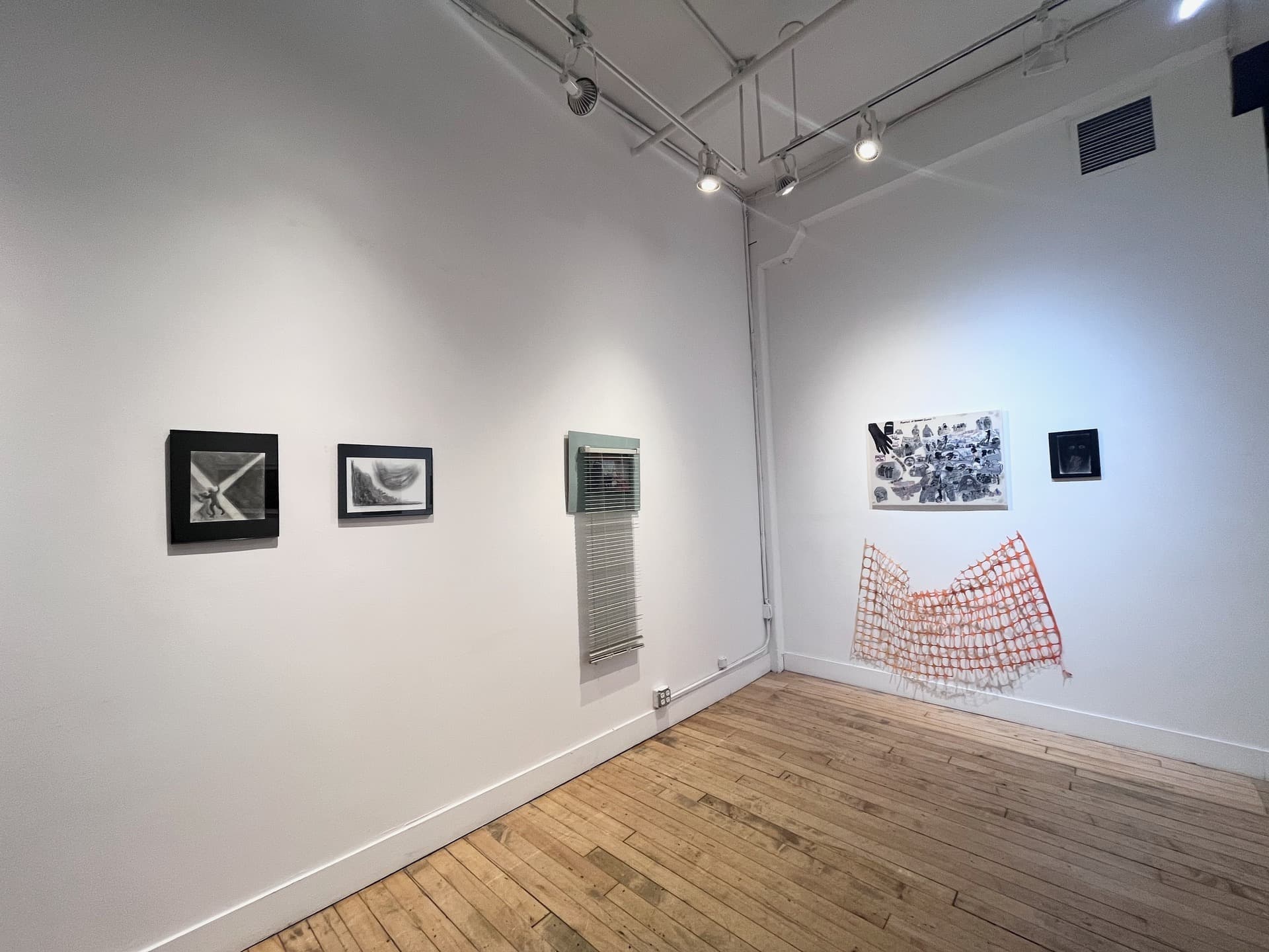 Jessica Fromm: Duck and Color