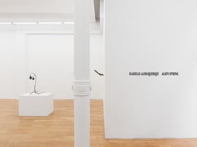 Installation view