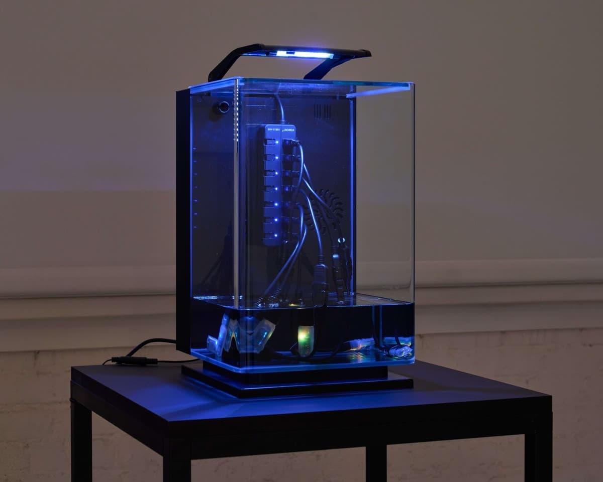 Installation view