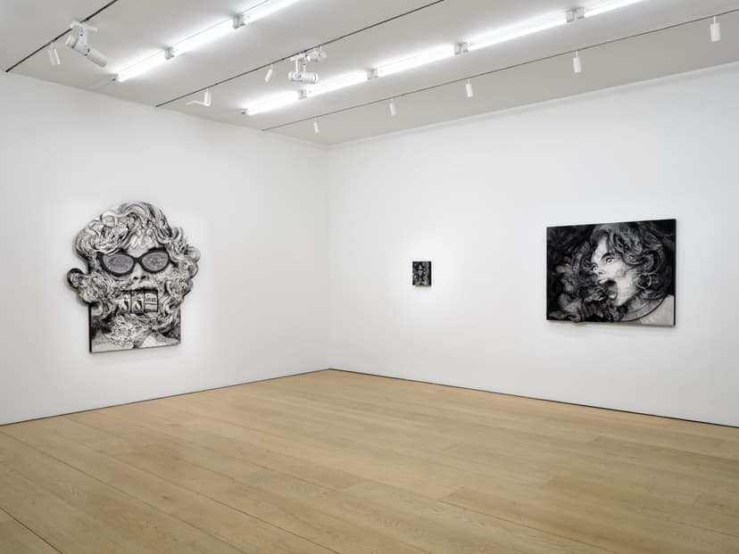 Installation view, Anna Park: House Rules, Lehmann Maupin, New York, 2026