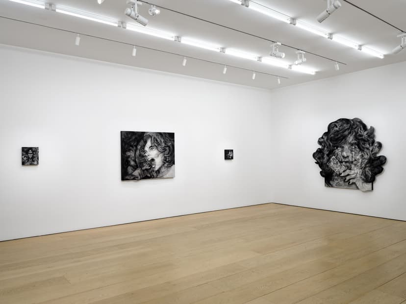 Installation view, Anna Park: House Rules, Lehmann Maupin, New York, 2026